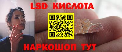 молекула духа Новозыбков