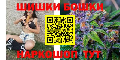 молекула духа Новозыбков