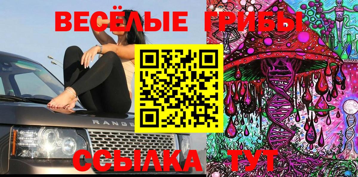 Новосибирск  Галлюциногенные грибы Magic Shrooms  закладка  Вход с VPN 